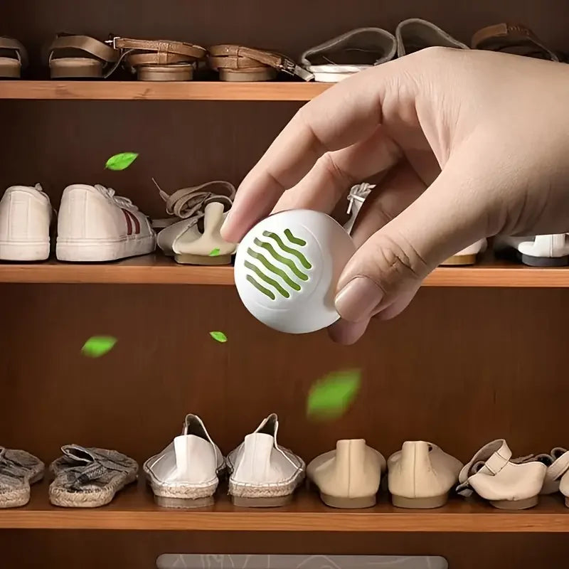 Shoe Fresheners — 6-Pack