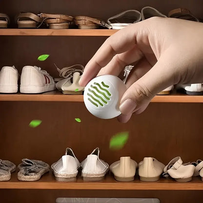 Shoe Fresheners — 6-Pack